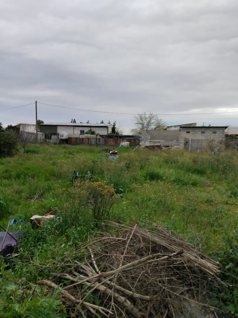 Terreno rustico in vendita a Alcalá del Río