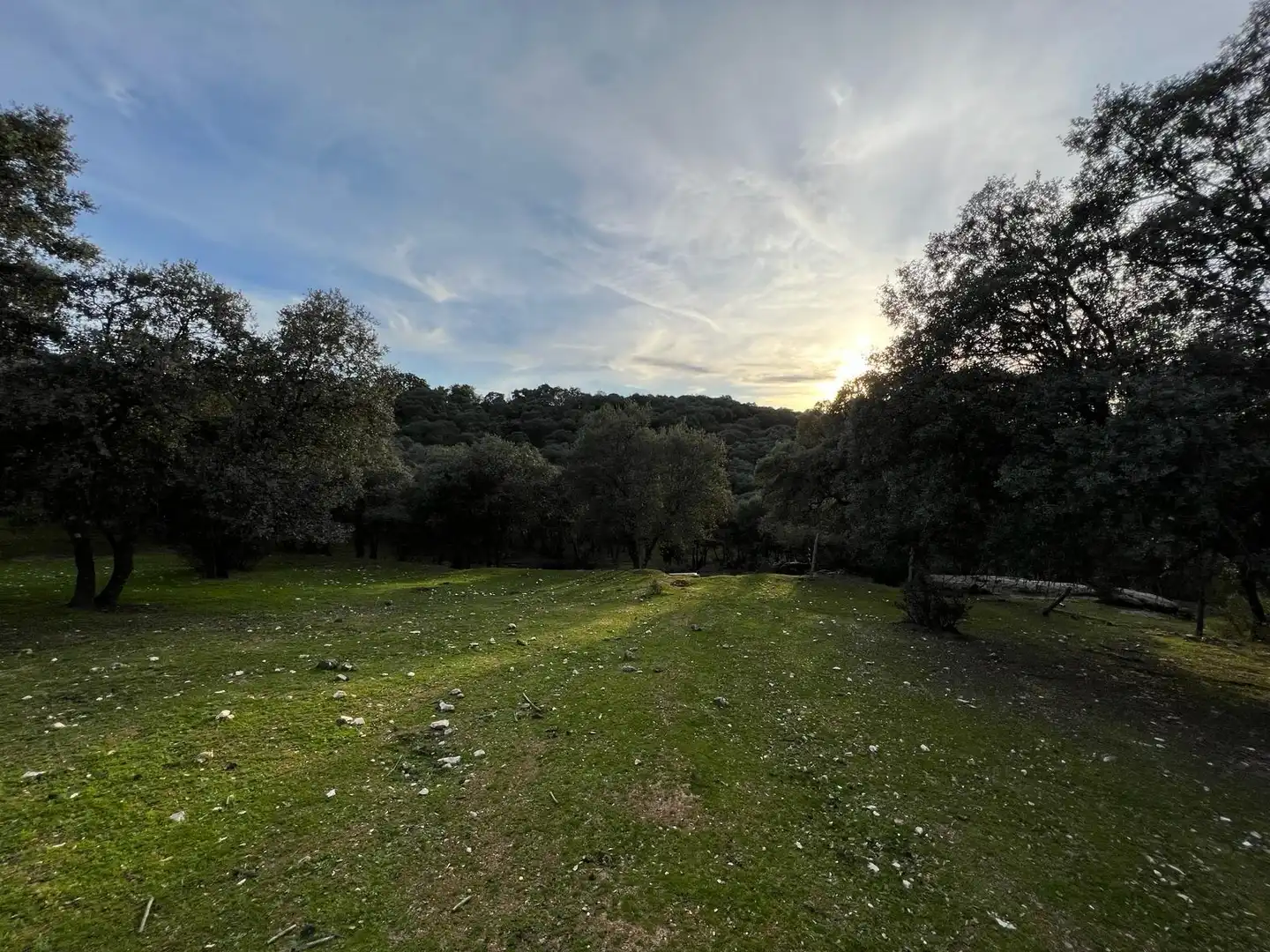 Terreno en venta en Almendral de la Cañada, Toledo