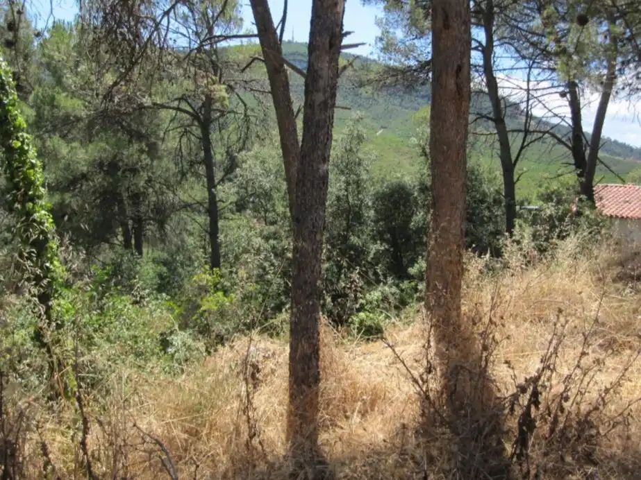 Terreno residencial en venta en Estacio De Torreblanca, imagen 4