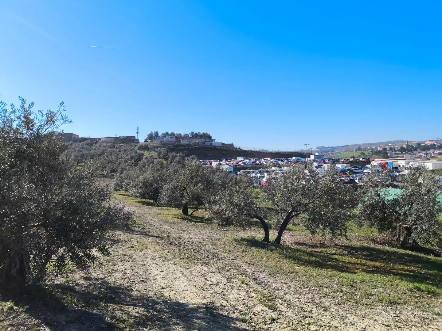 Terreni e lotti in vendita a Mengíbar