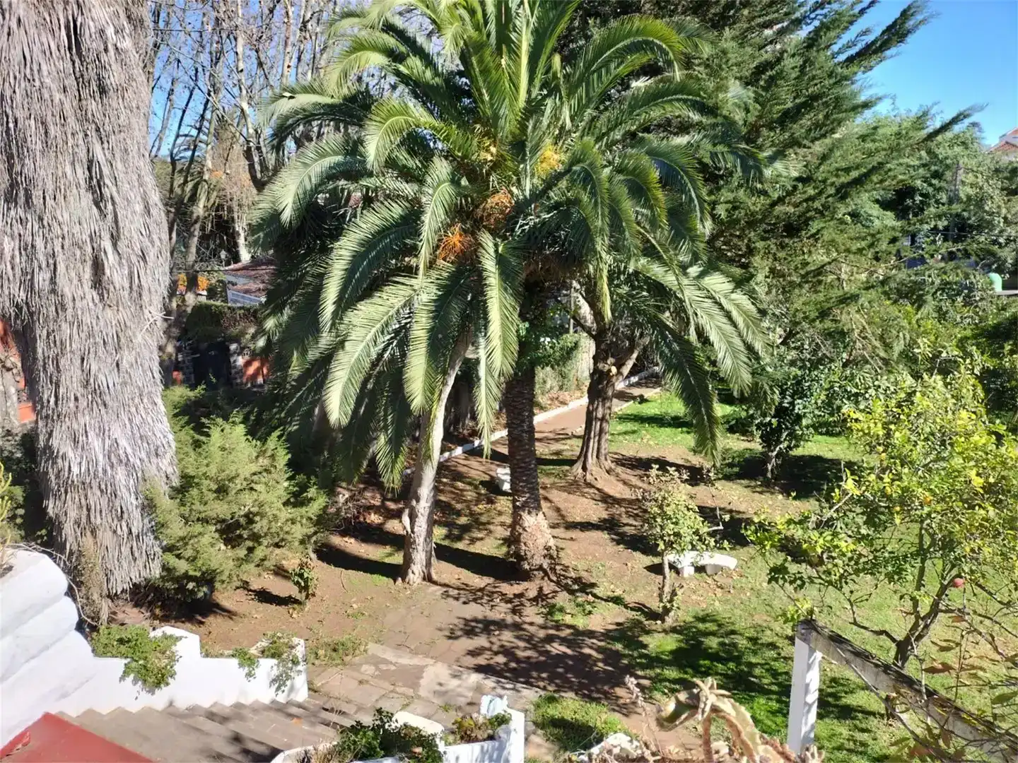 Jardí de Casa o xalet en venda en San Cristóbal de la Laguna amb Balcó