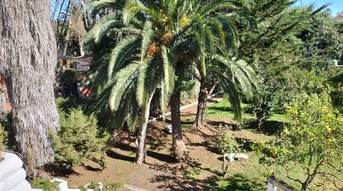 Foto 5 de Casa o xalet en venda a Avenida Brasil, 1, La Laguna, San Cristóbal de la Laguna