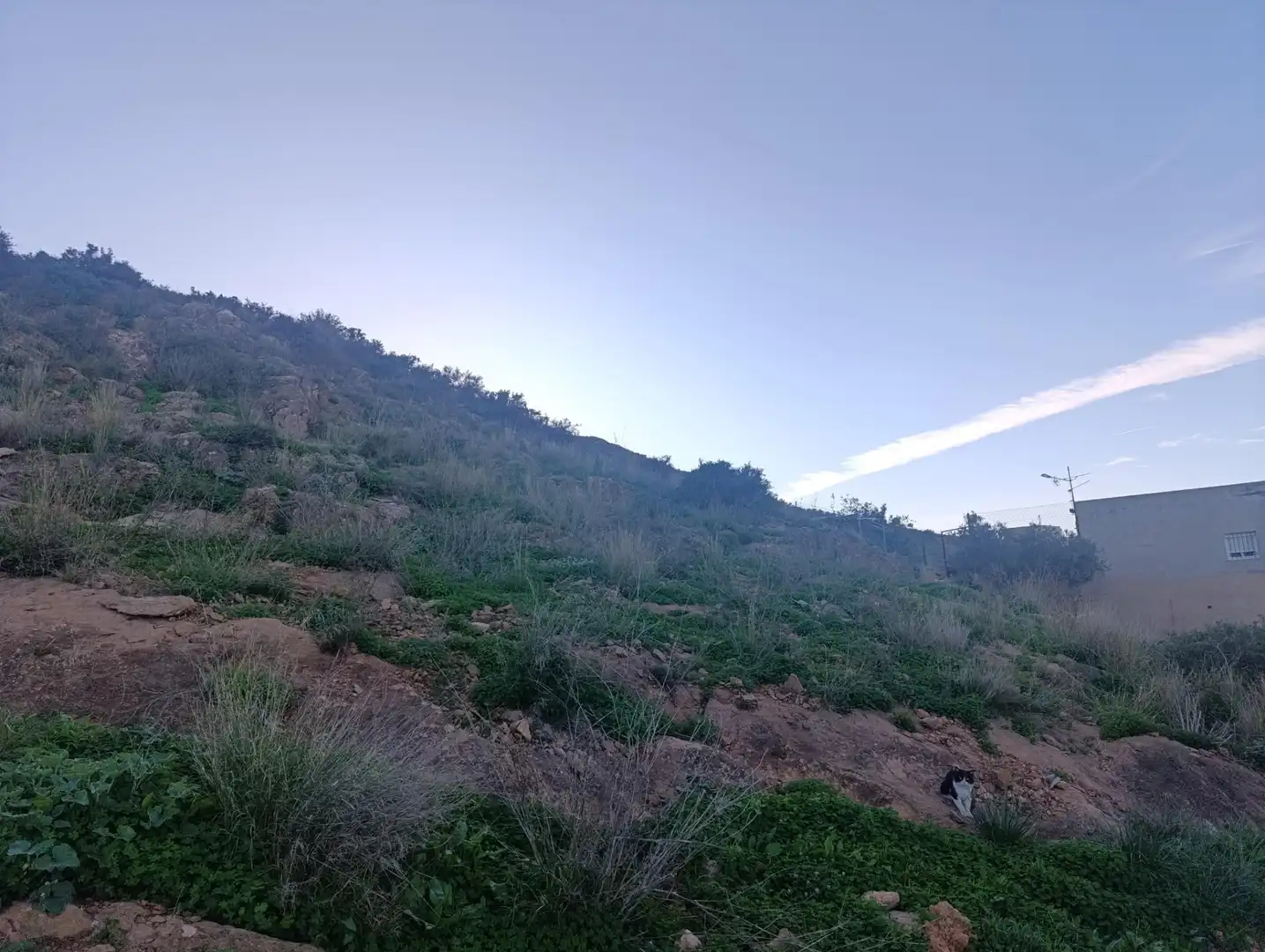 Residential land for sale in Calle PERONIÑO-BO CONCEPCION, imagen 21