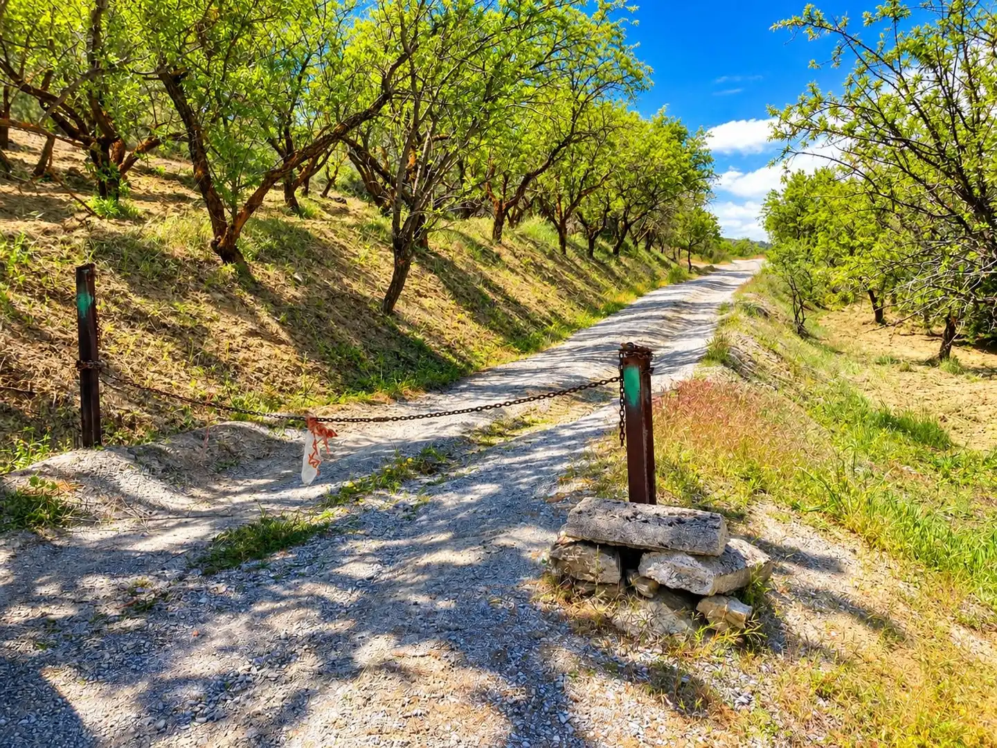 Maison rustique avec jardin à vendre à Carretera Fuente del Lobo Poligono, imagen 21