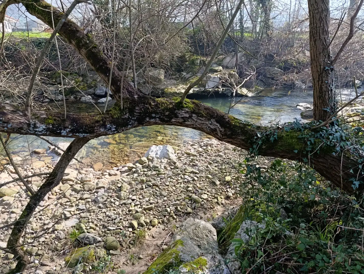 Terreni e lotti in vendita a Selaya - LA MIES, imagen 19