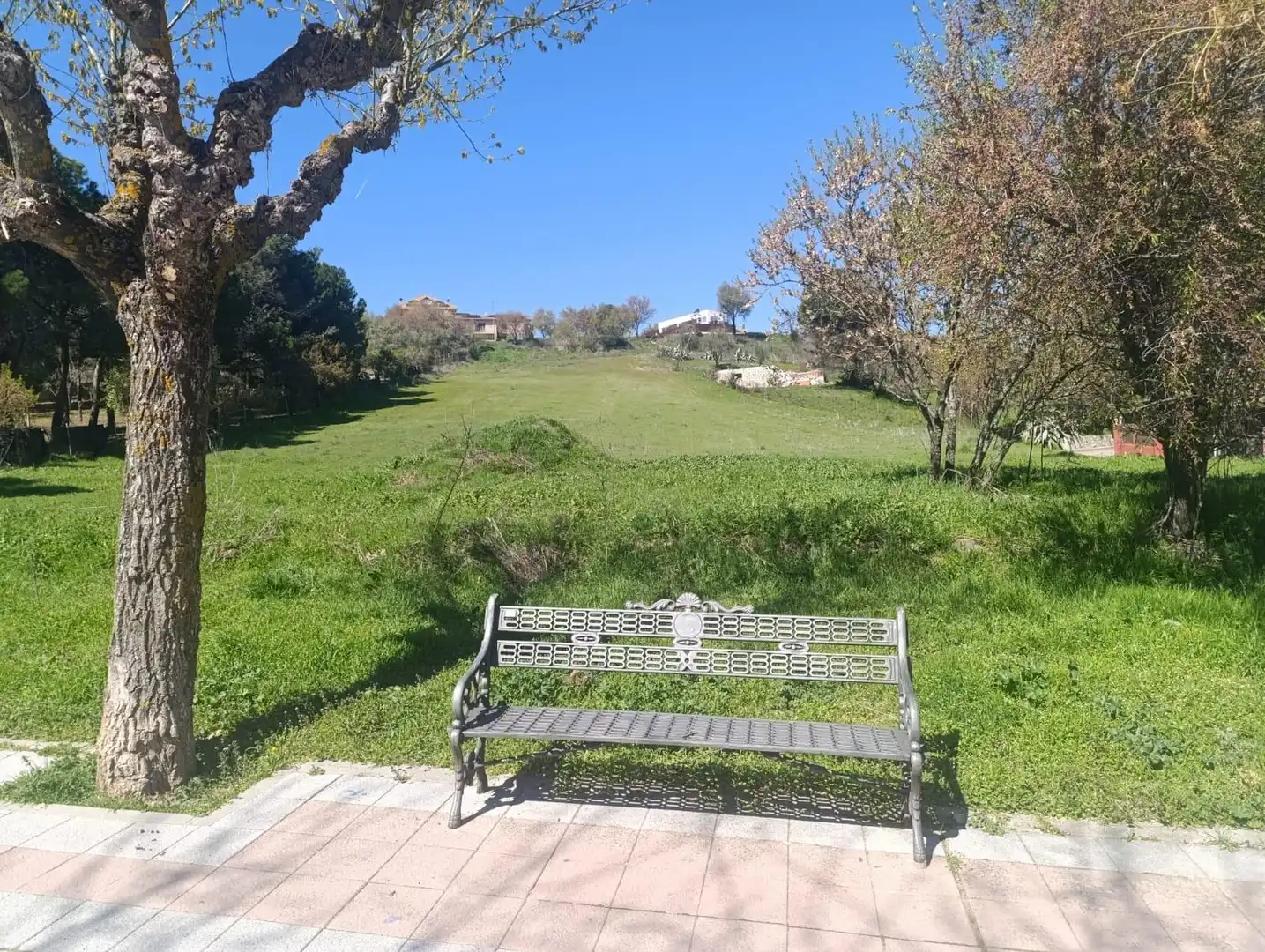 Jardí de Residencial en venda en El Molar (Madrid)