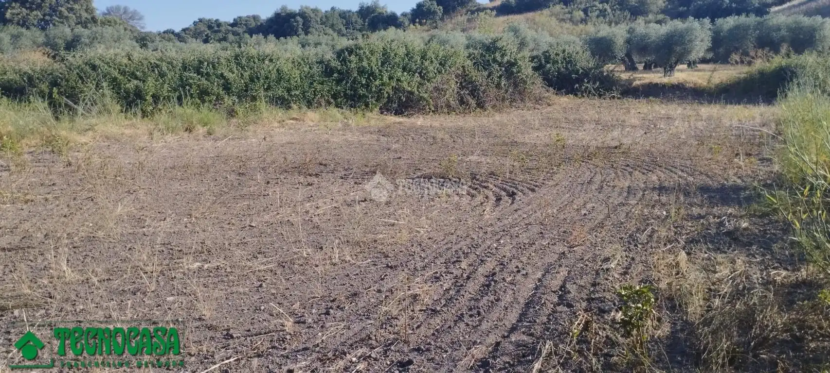 Terreni e lotti in vendita a Méntrida, imagen 2