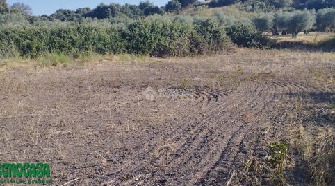 Terrenos en venta en Méntrida, immagine 2