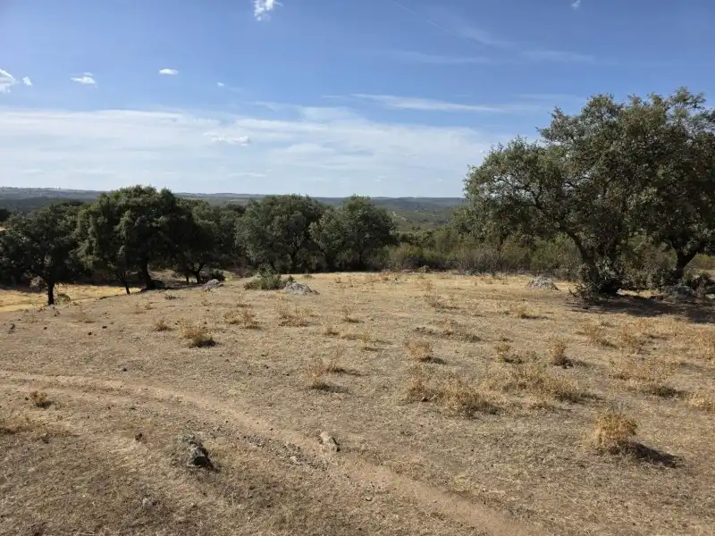 Terreni e lotti in vendita a Alcántara, imagen 35