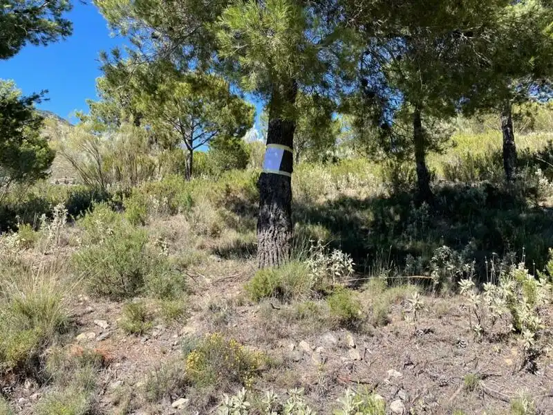 Rural land for sale in 3 . Parcela, 174, imagen 6