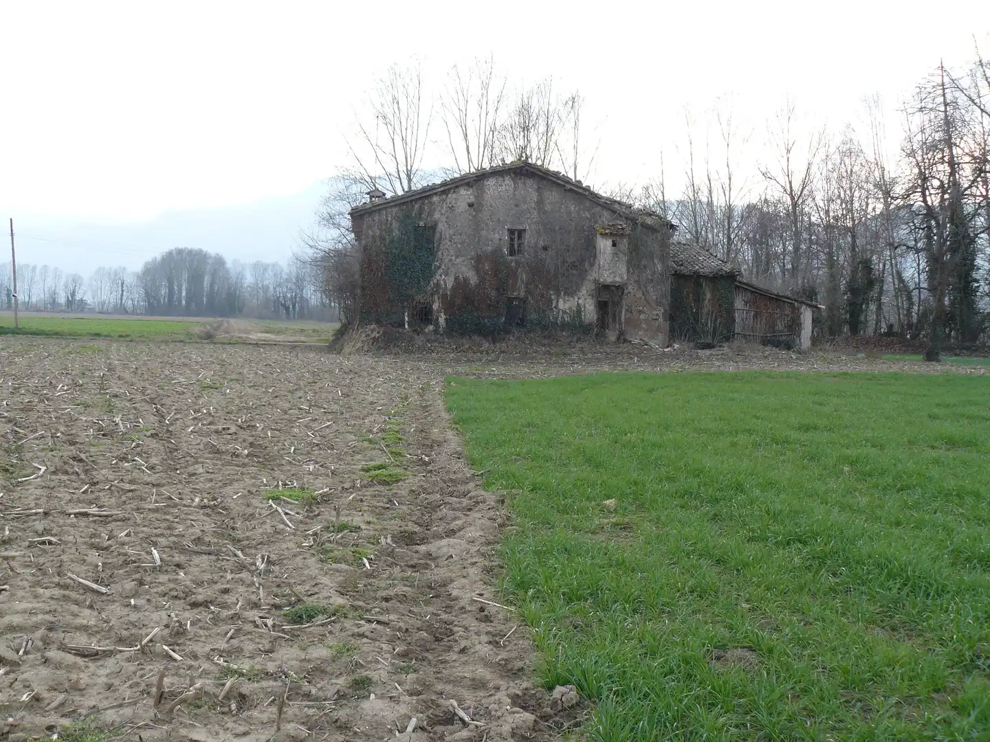 Vista exterior de Finca rústica en venta en Les Preses