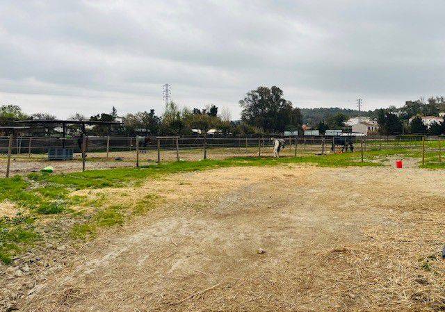 Terreno residencial en Venta en San Enrique - Guadiaro -  Pueblo Nuevo