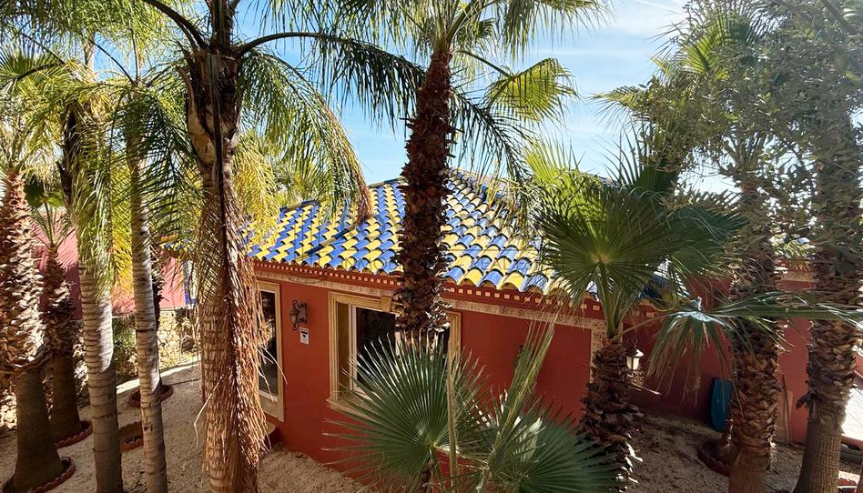 Photo 1 of House or chalet to rent in Avenida de Cuba, Montealto - Monterrey, Málaga