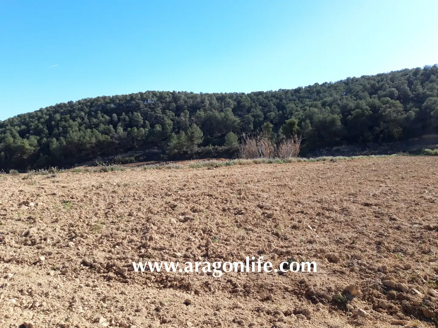 Finca rústica en venta en Nonaspe