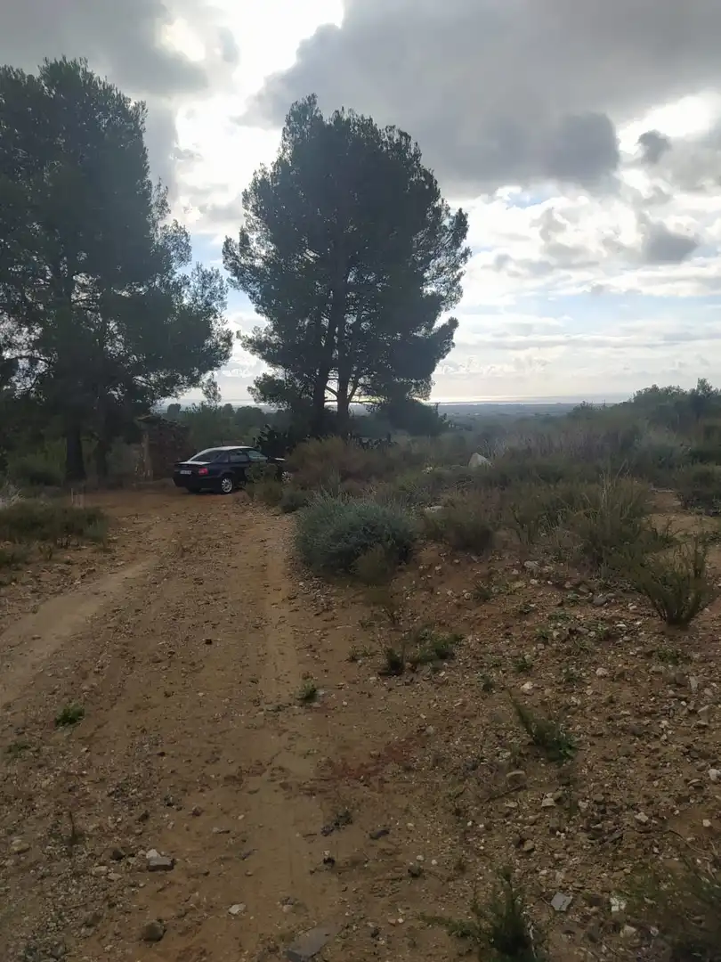 Terreno rustico in vendita a Riudecanyes, imagen 2