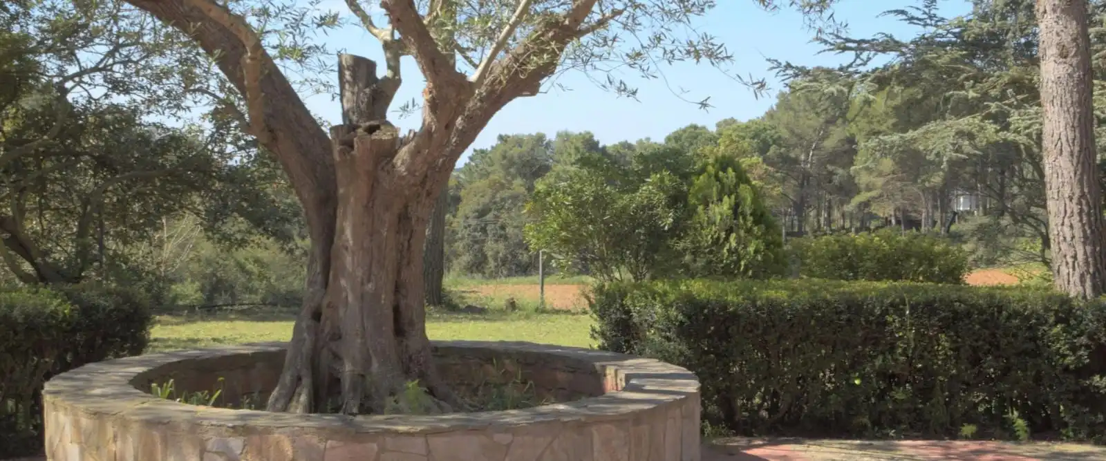 Detached house with pool for sale in Tamariu, imagen 4