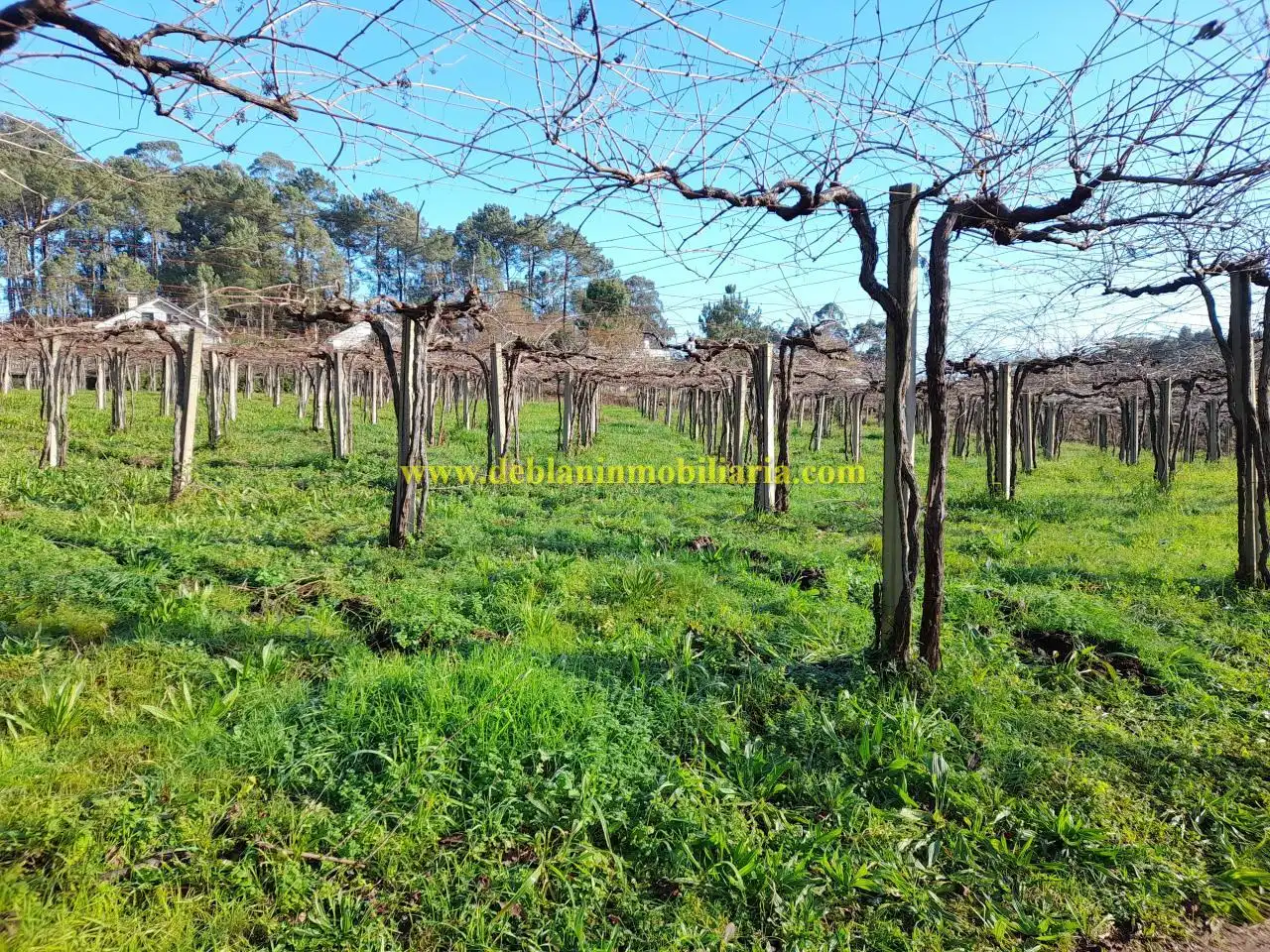Rural land for sale in Tomiño, imagen 3