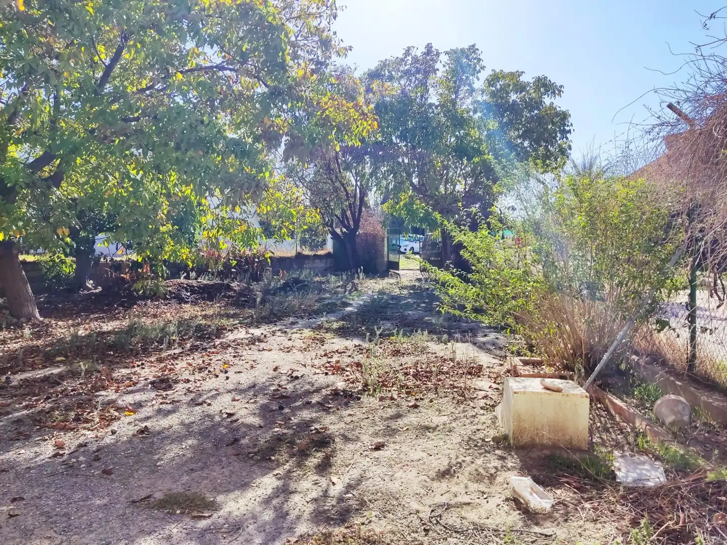 Terreno rústico en venta en MOLINILLO, imagen 20