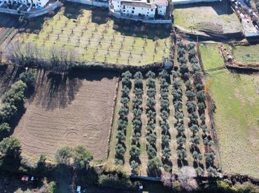 Maison rustique à vendre à La Zubia Ciudad