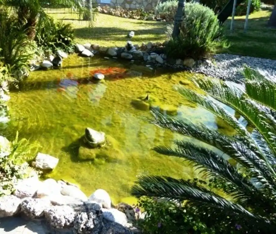 Villa mit Pool zum Verkauf in Capellanía - Retamar, imagen 31