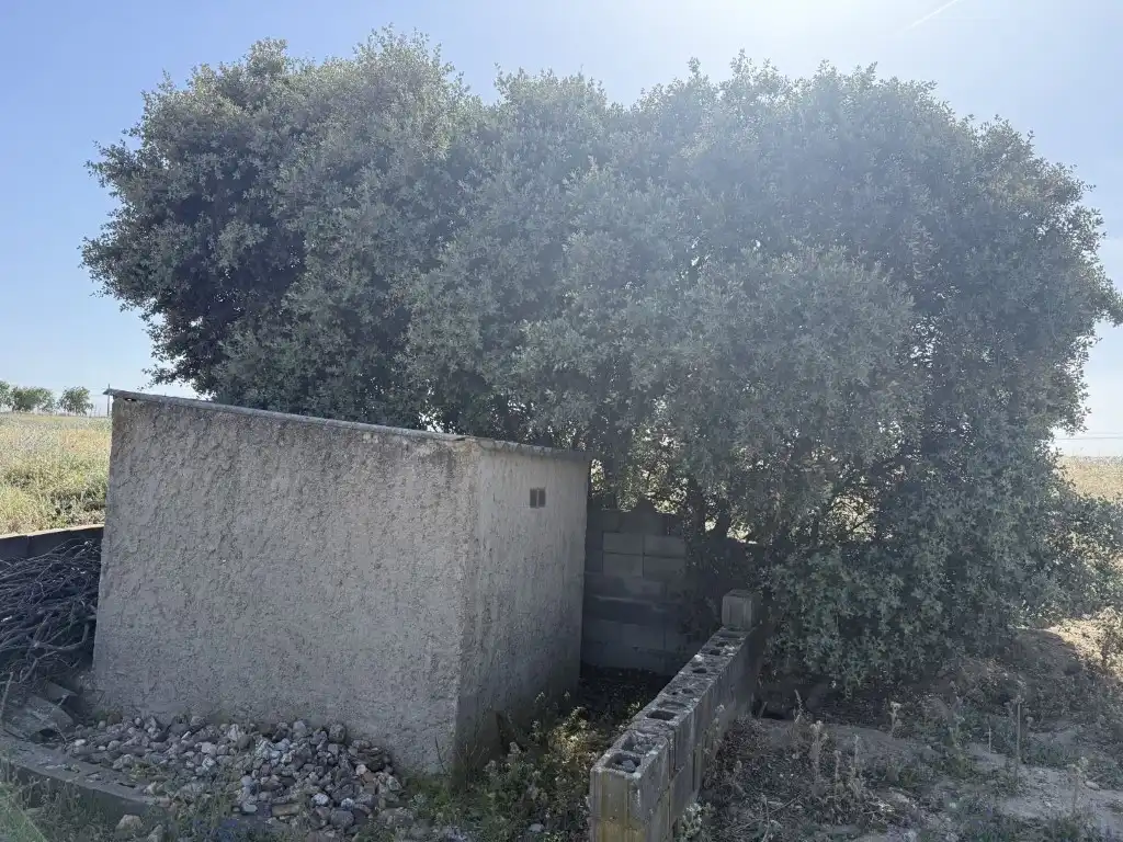 Casa rústica en venta en Urb. Calypo, imagen 12