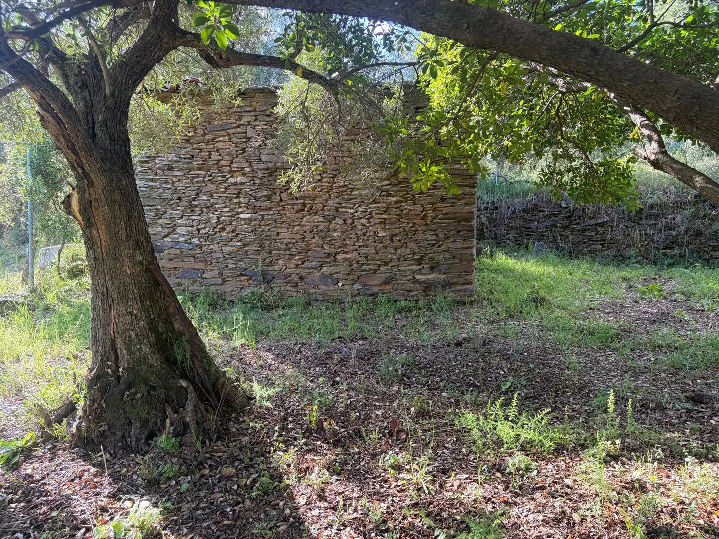 Terreni e lotti in vendita a N/A