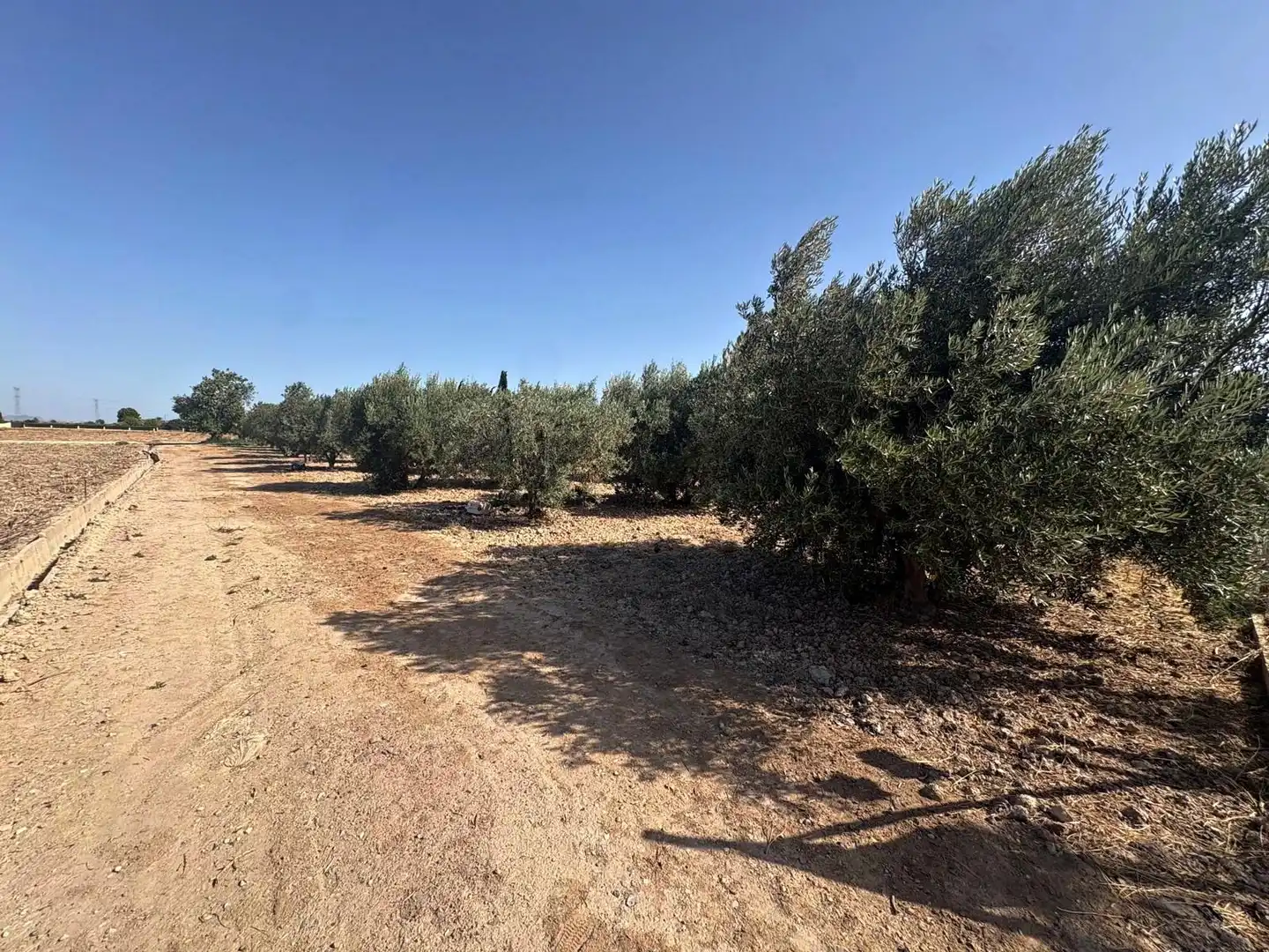 Terreno en venta en Totana