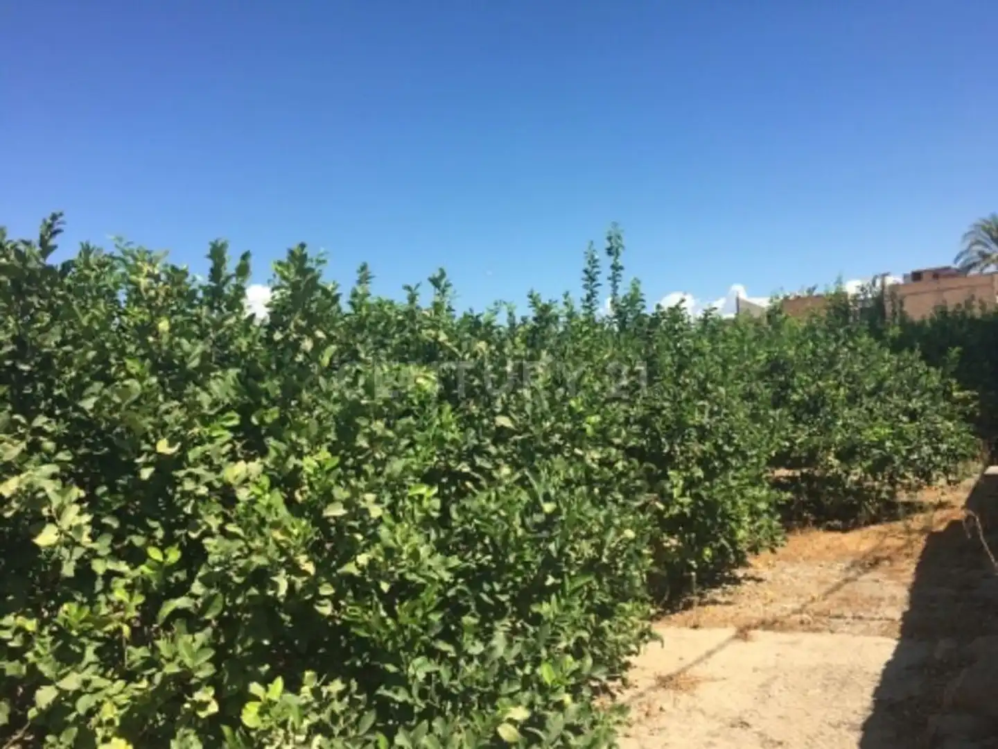 Terreno en venta en Camino de los Pinos, San José de la Vega