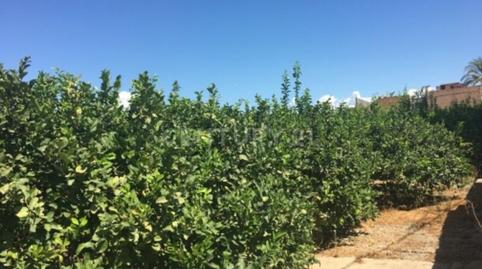 Photo 2 of Land for sale in Camino de Los Pinos, San José de la Vega, Murcia