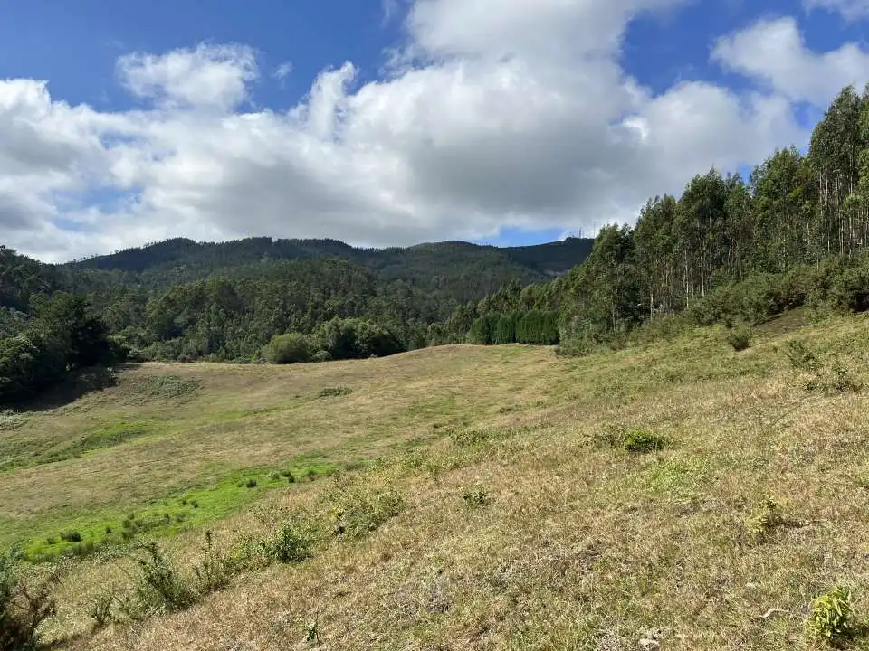 Finca rústica en venda en Llanera