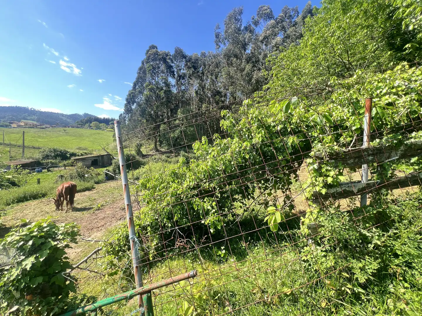 Detached homes for sale in Castrillón