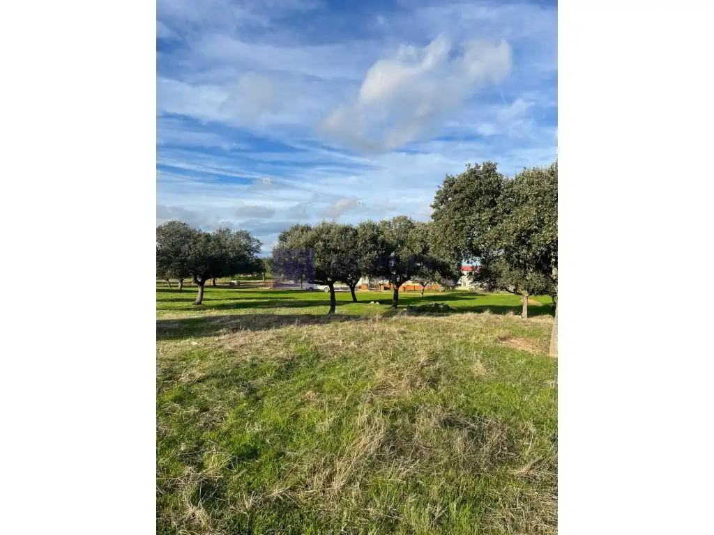Maison à vendre à Aliseda, imagen 4