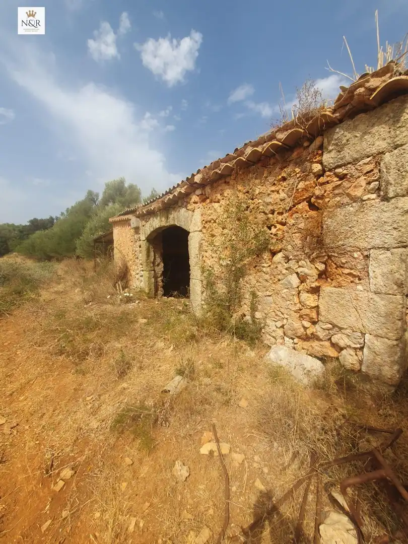 Finca rústica en venta en Sencelles