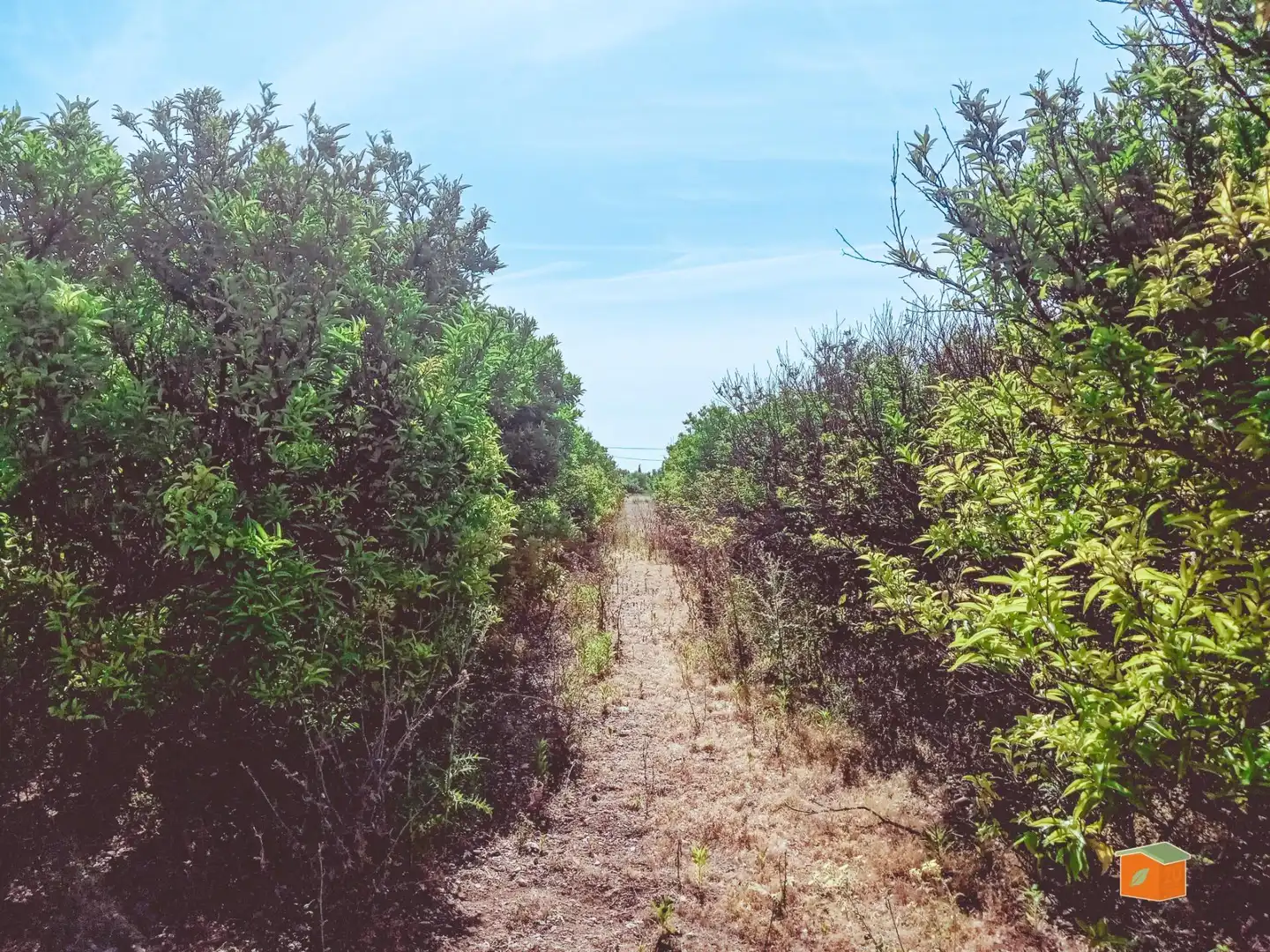 Terreno rustico in vendita a Santa Bàrbara, imagen 6