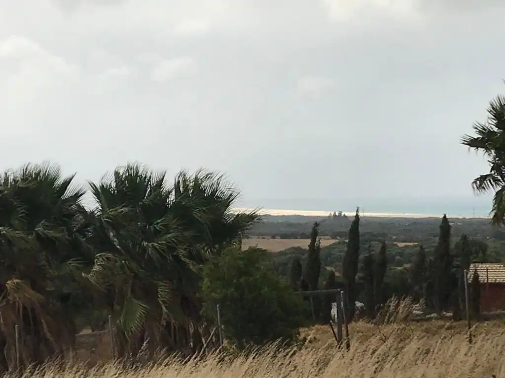Terreno rustico in vendita a Tarifa ciudad, imagen 9