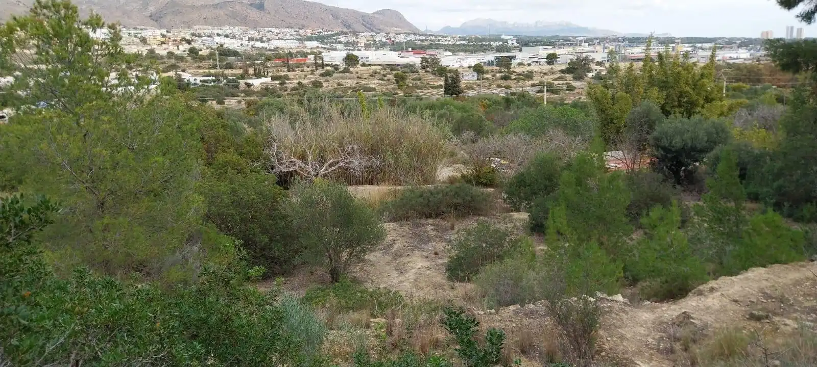 Wohnbaugrundstück zum Verkauf in Platja de Torres, imagen 5