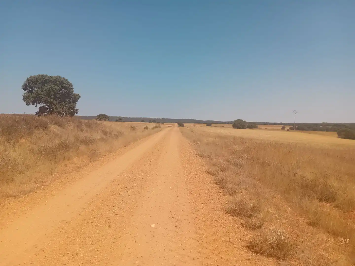 Terreno en venta en Moreruela de Tábara