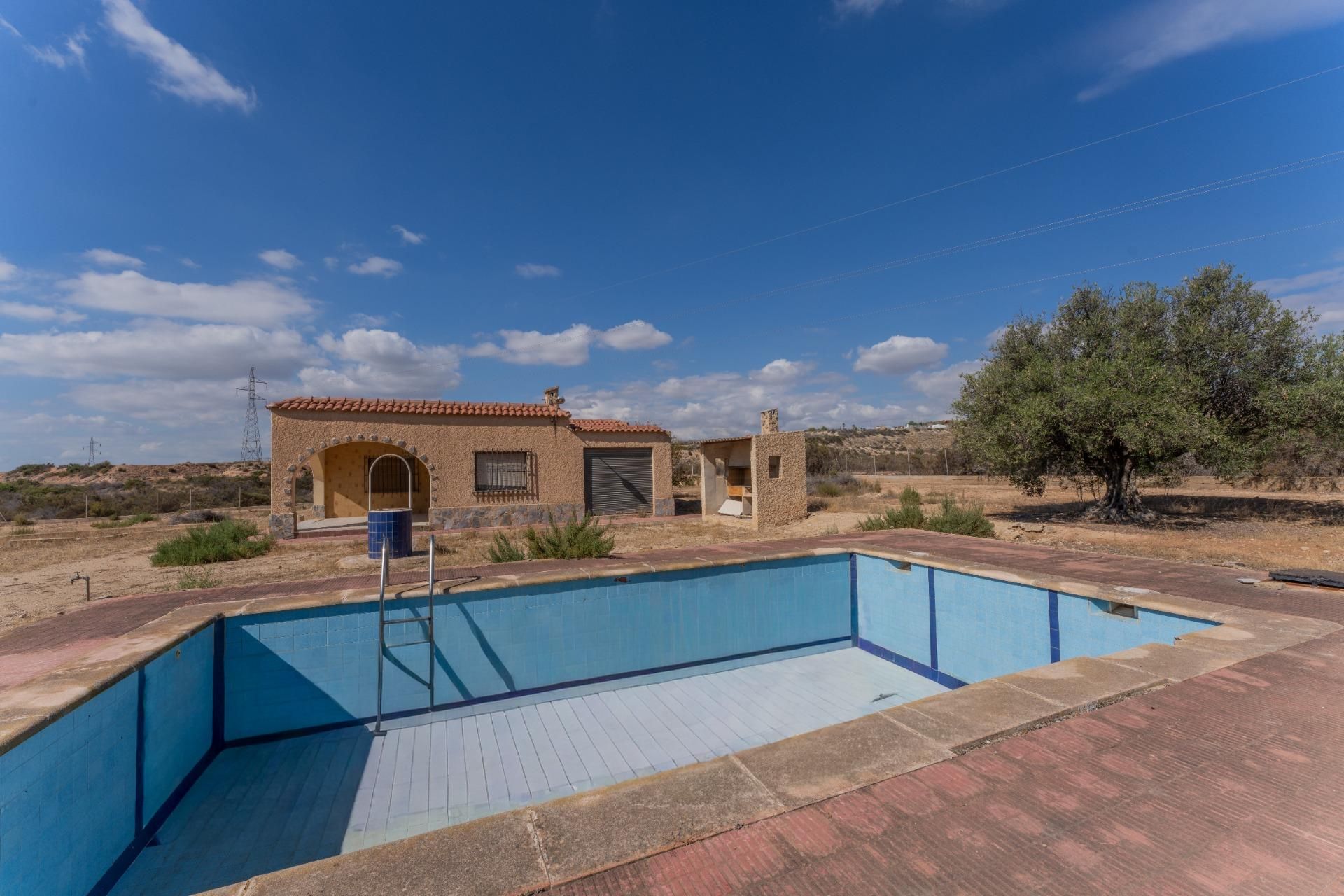 Piscina de Casa o xalet en venda en Elche / Elx amb Jardí privat i Piscina