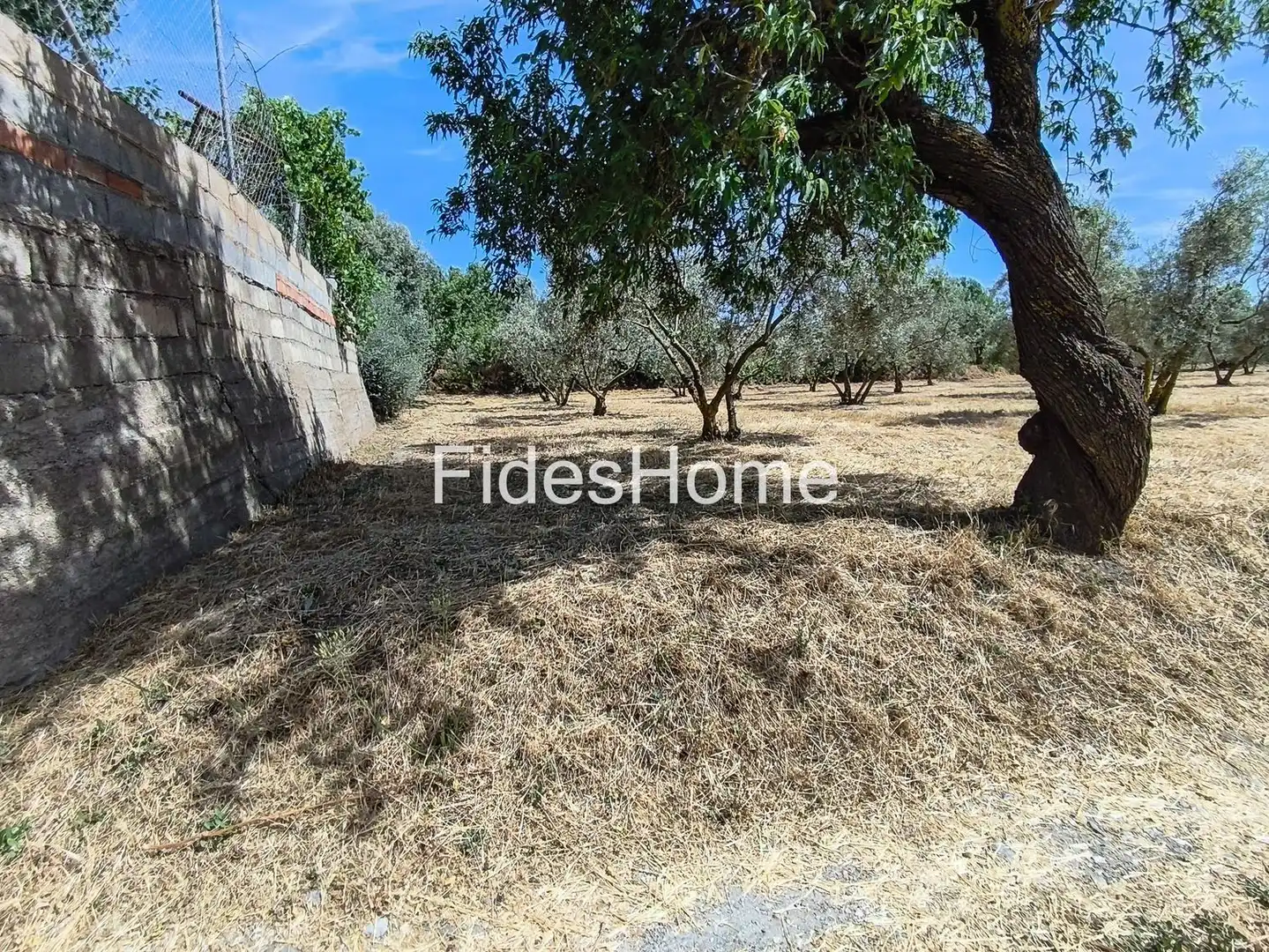 Rural land for sale in XFJ3+526 Nigüelas 0, imagen 21