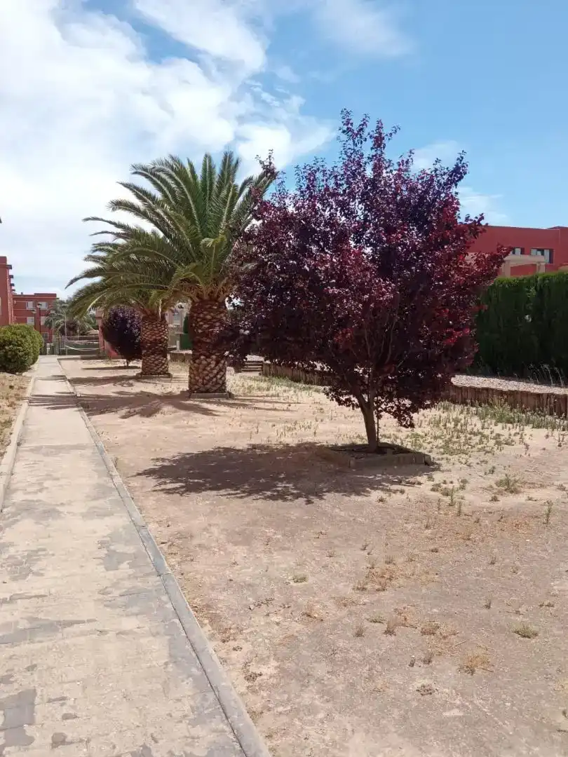 Wohnung zur Miete in Ciudad Real mit Privatgarten, Parkett und Schwimmbad