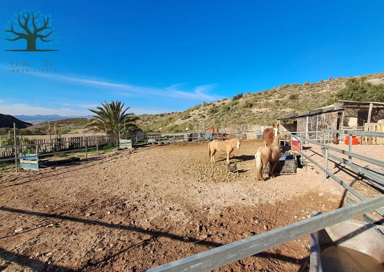 Casa con piscina en venta en EL ALGARROBO, imagen 27