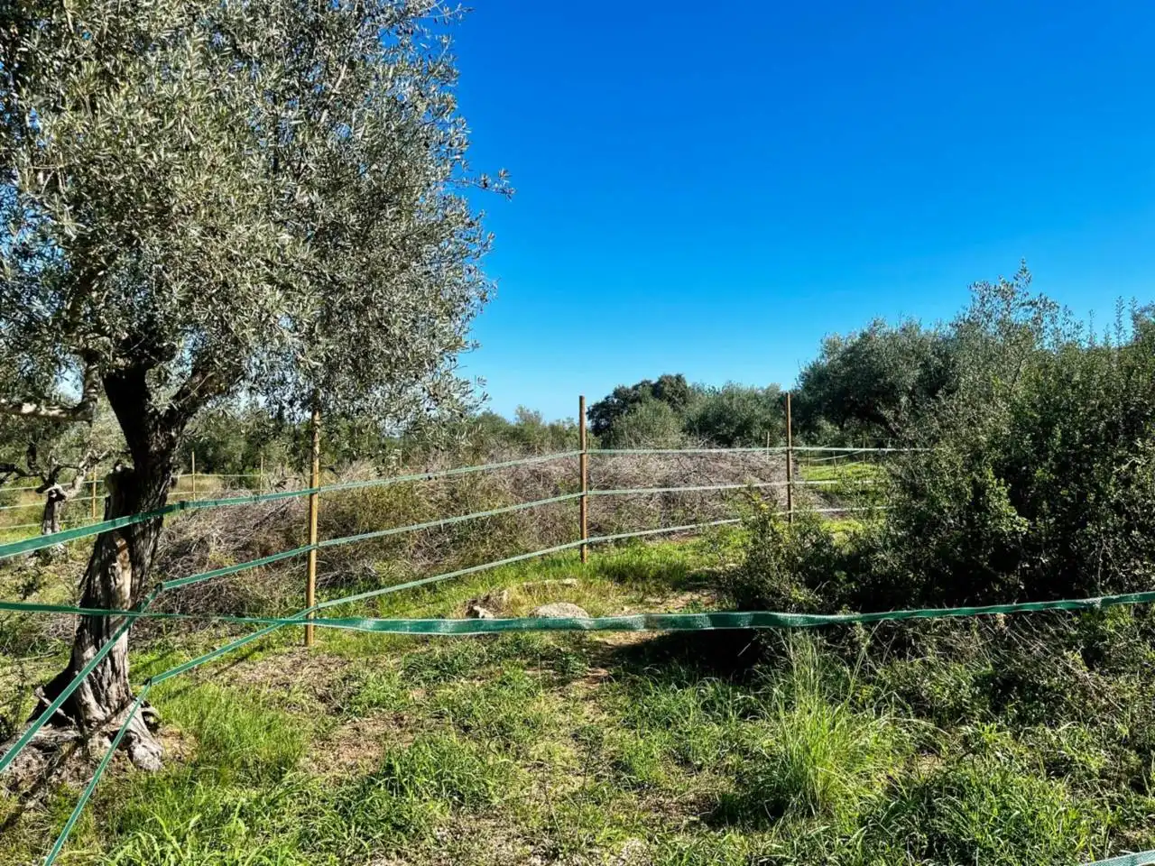 Finca rústica en venda en San Jorge / Sant Jordi amb Calefacció, Jardí privat i Terrassa