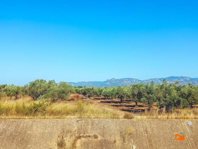 Terreno en Venta en Ulldecona