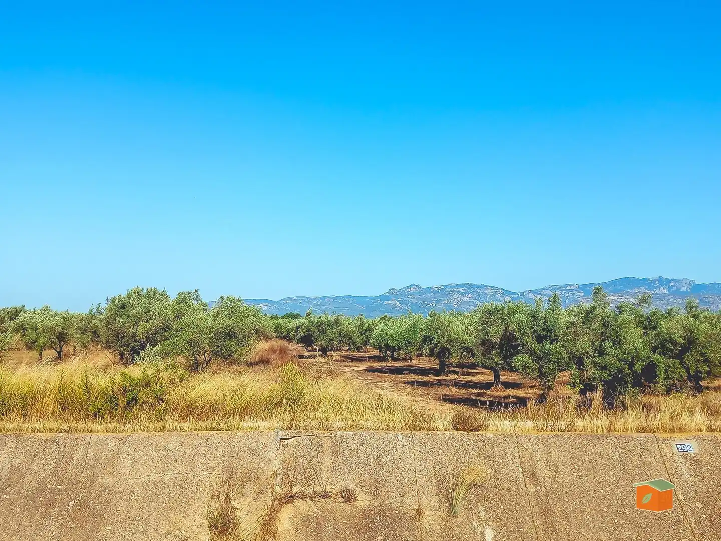 Terreny rústic en venda a Ulldecona