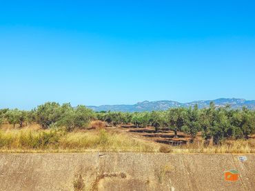Rural land for sale in Ulldecona