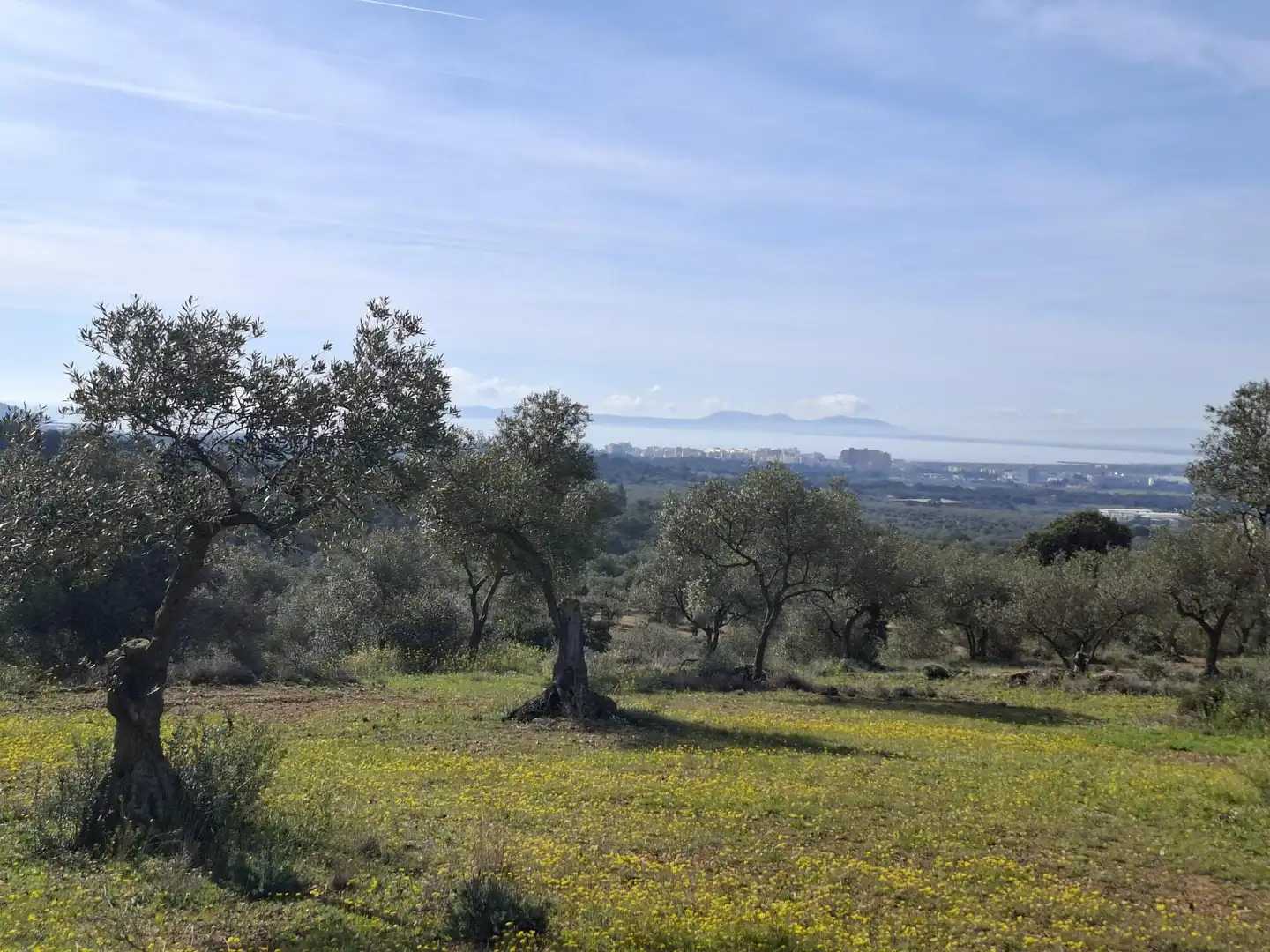 Terrenos y solares en venta en Balmes