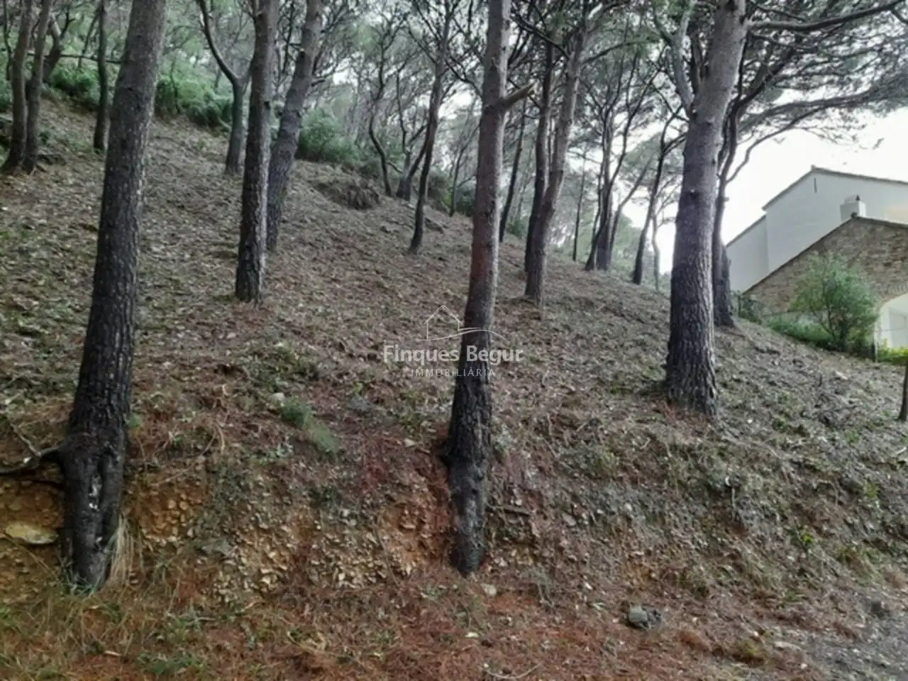 Residential for sale in Begur
