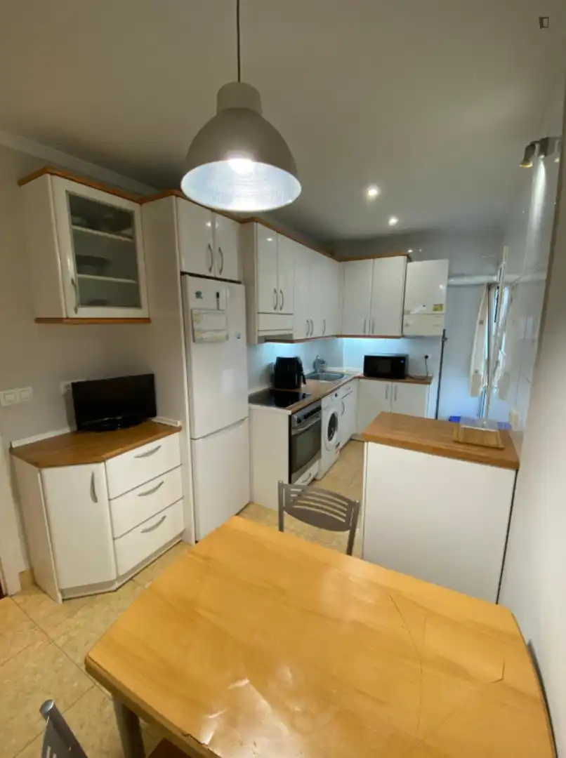 Kitchen of Apartments for share in Bilbao   with Furnished, Oven and Washing machine