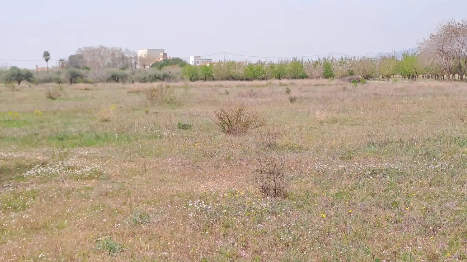 Finca rústica en venta en Constantí