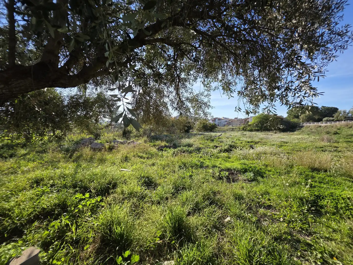 Terreny rústic en venda a Calasparra, imagen 4